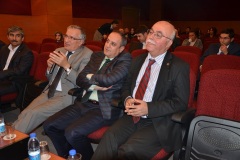 i_guler_4