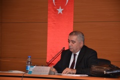 N-subasi